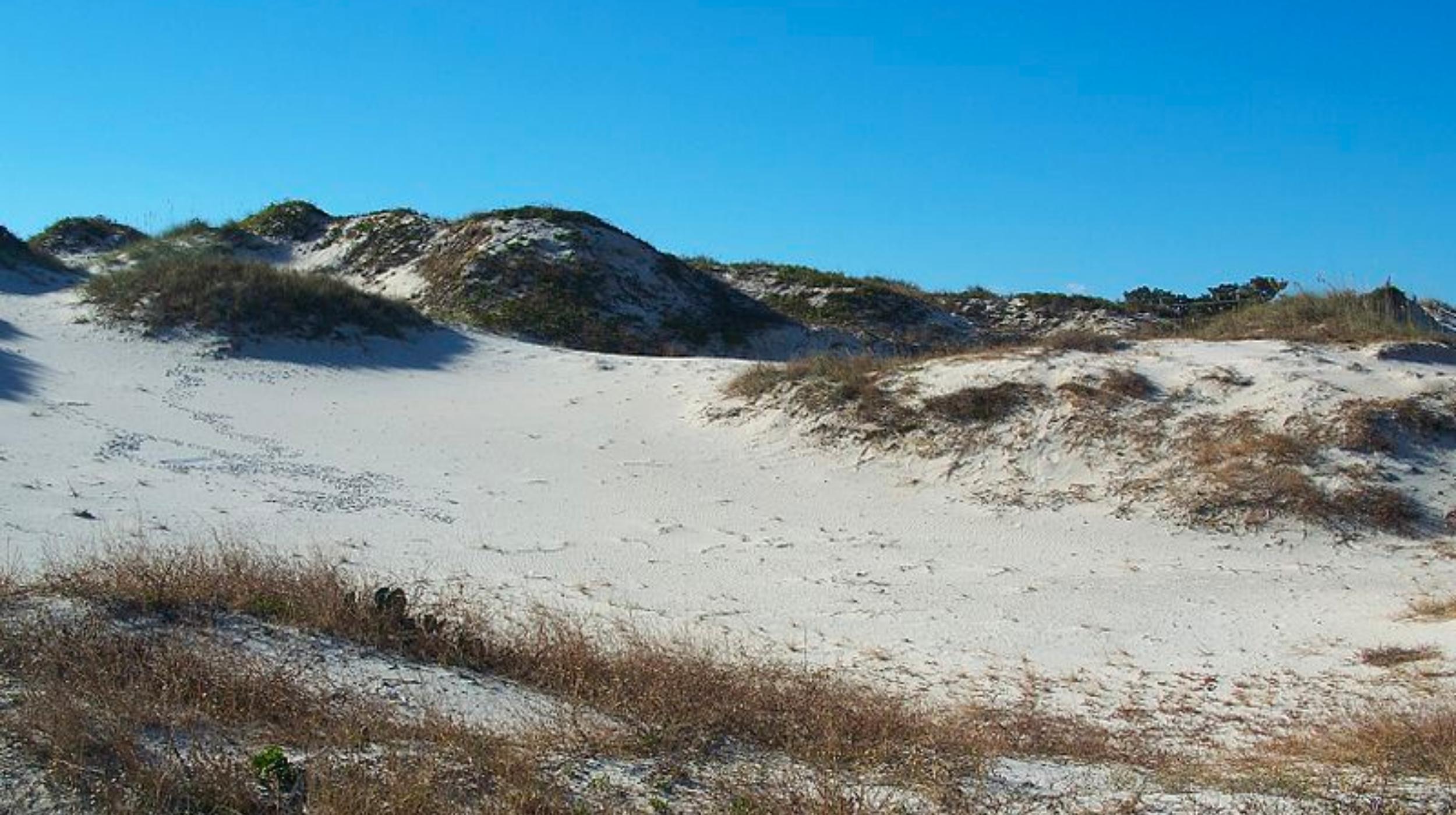 How Black Beaches Were Developed to Combat Jim Crow Segregation - Earth ...