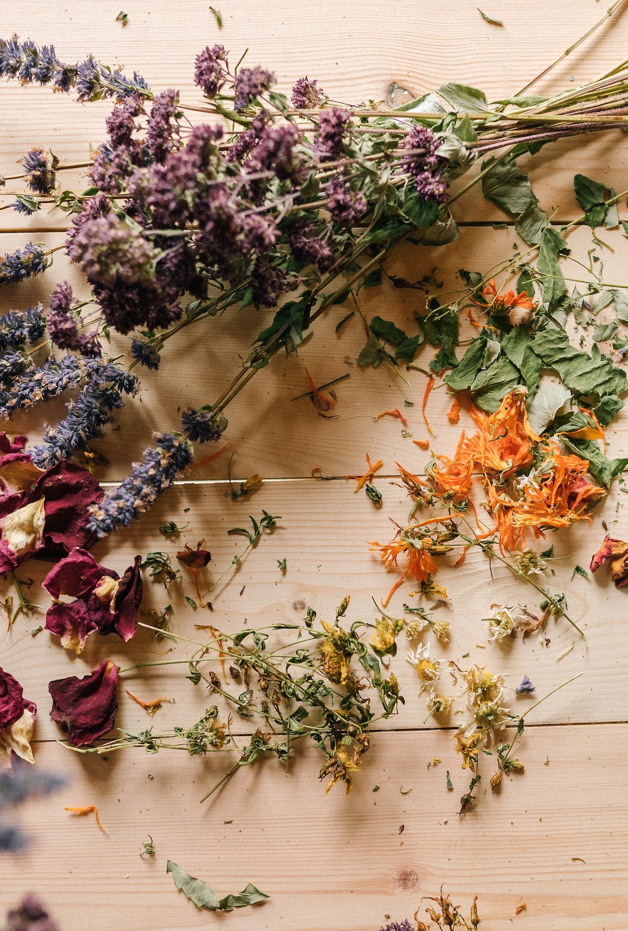 A Beginner’s Guide to Herbalism