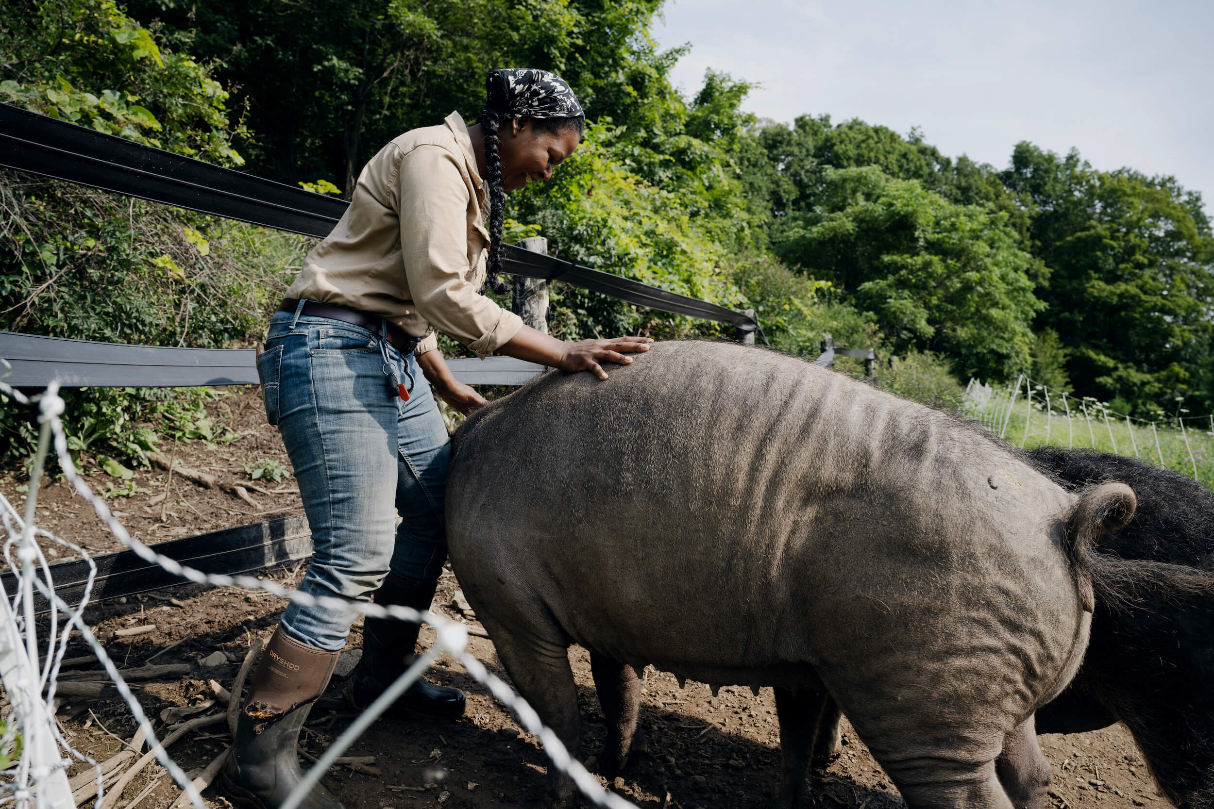 Ashanti Williams in the pig pen as the pig rubs up against her. 