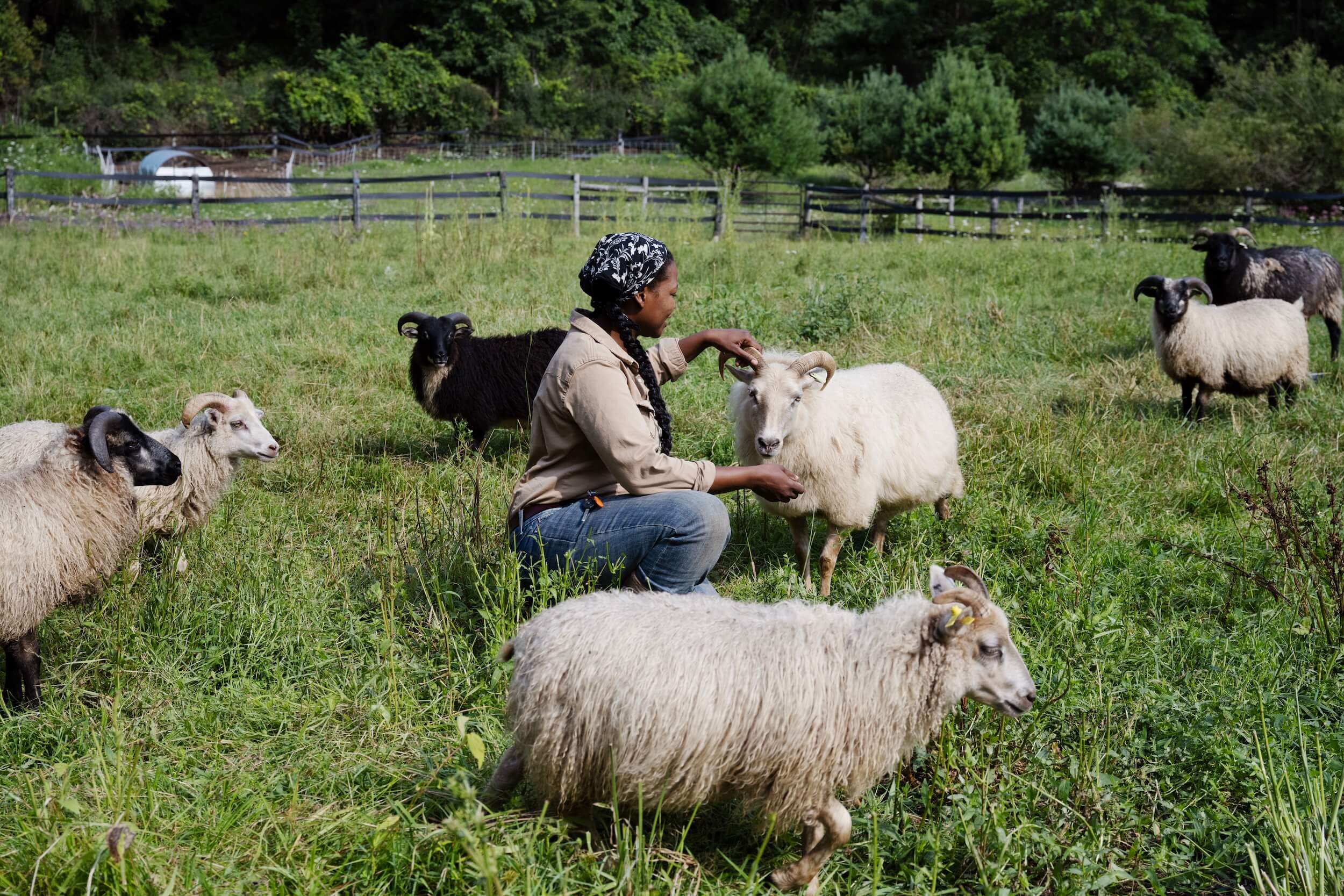 Ashanti Williams’ Journey to Building an Unapologetically Black Farming Collective in Upstate NY