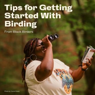 Have you ever spotted the same bird on the tree outside your window every morning and wondered what it was? Or perhaps you just can't get this particular birdsong you keep hearing around the neighborhood out of your head? You might just be a budding birder!
⠀⠀⠀⠀⠀⠀⠀⠀⠀
It's easy to begin birding, and we've collected a bunch of tips and tricks from some experienced Black birders to help you get started. Swipe through the carousel for some of our favorites, and check out all 22 tips in the full piece on our website 🦜
